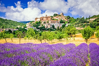 Informace o zahraničním zájezdu - Levandulová Provence