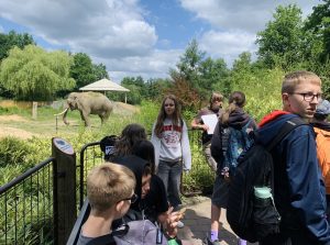 Školní výlet 7. A – Zoo Ostrava