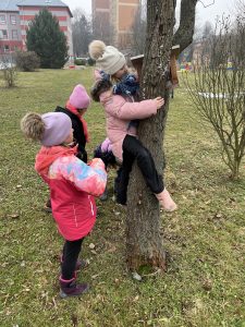 Vegetační klid – 4.B