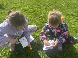 4.B – Projekt Jarní byliny školní zahrady